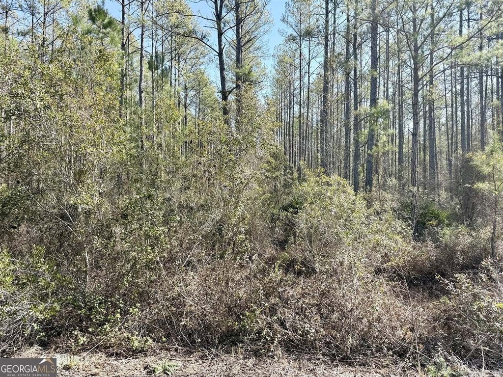 Picture 4