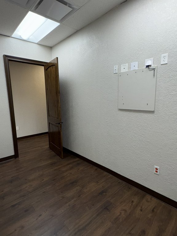 Picture 8