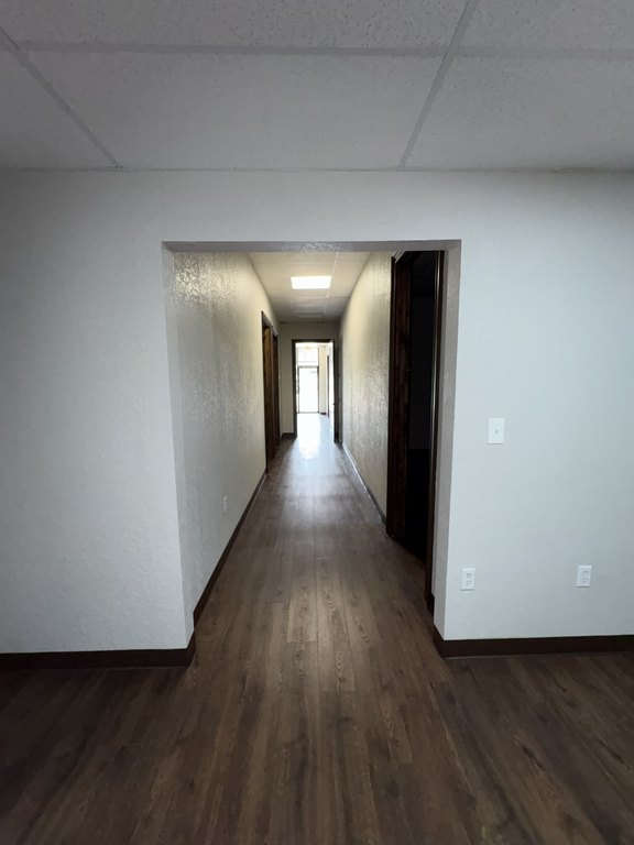 Picture 17
