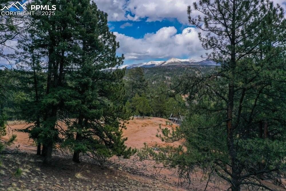 Mountain Lot in Cripple Creek