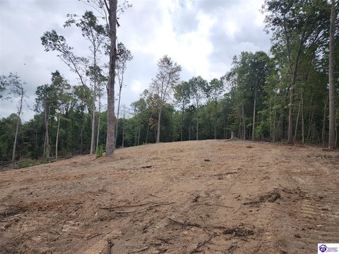 Hunting and Homesite Land Tract