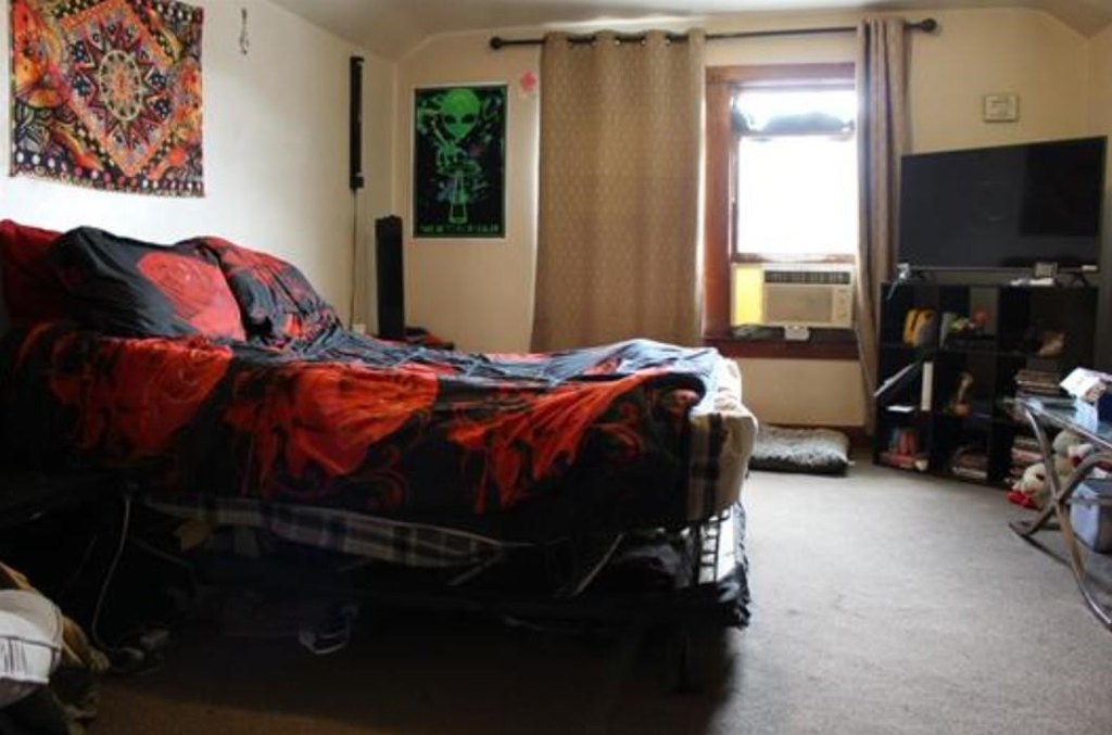 Picture 6