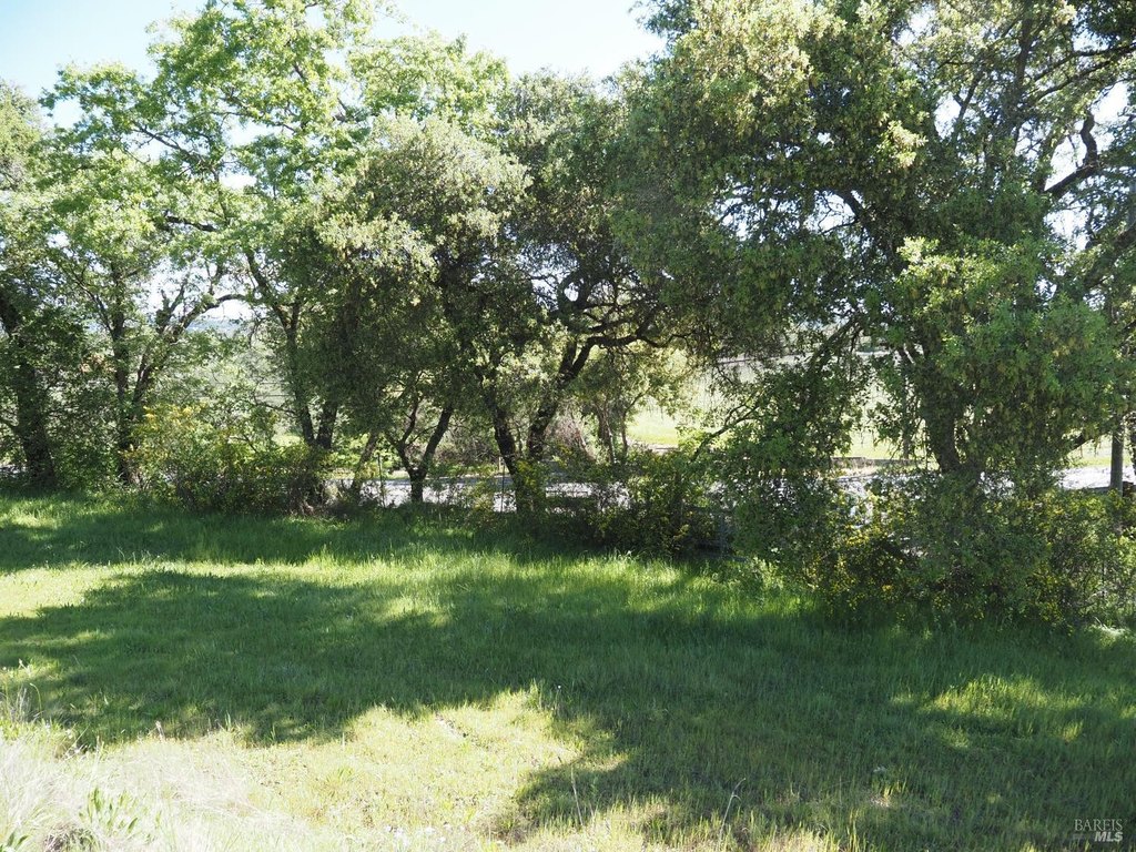 Picture 42