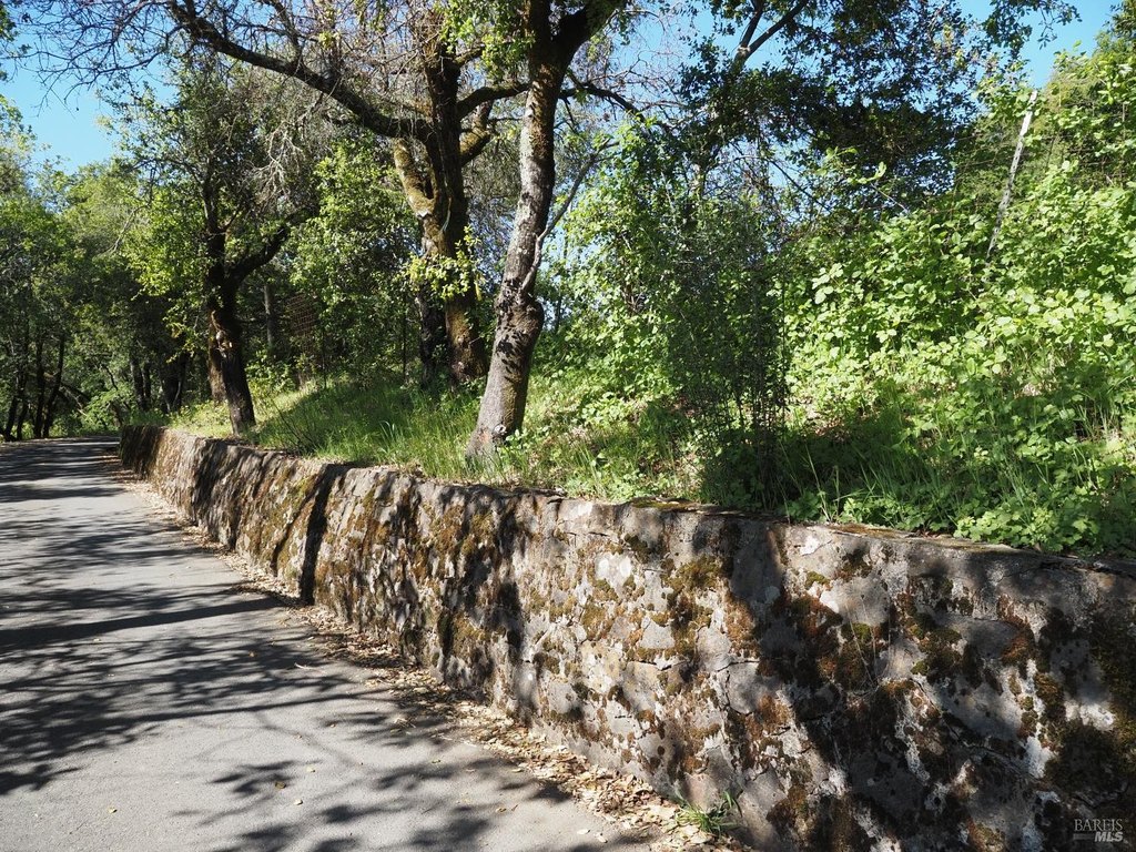 Picture 35