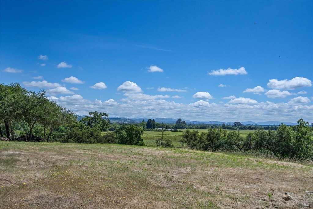 Picture 26
