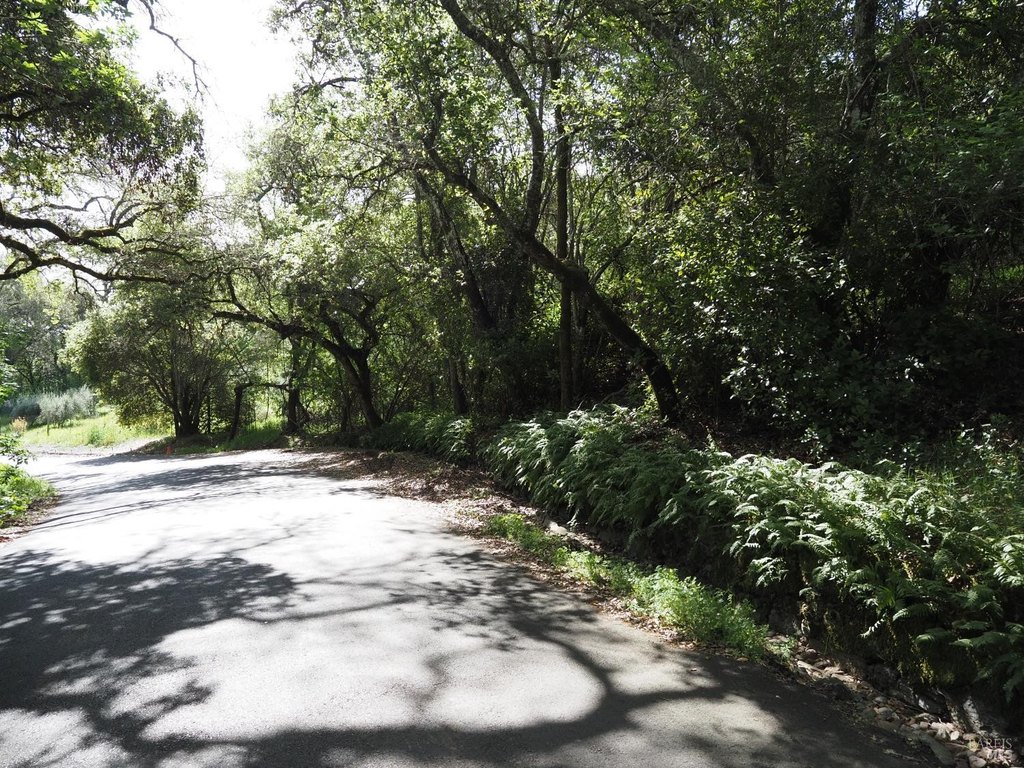 Picture 43