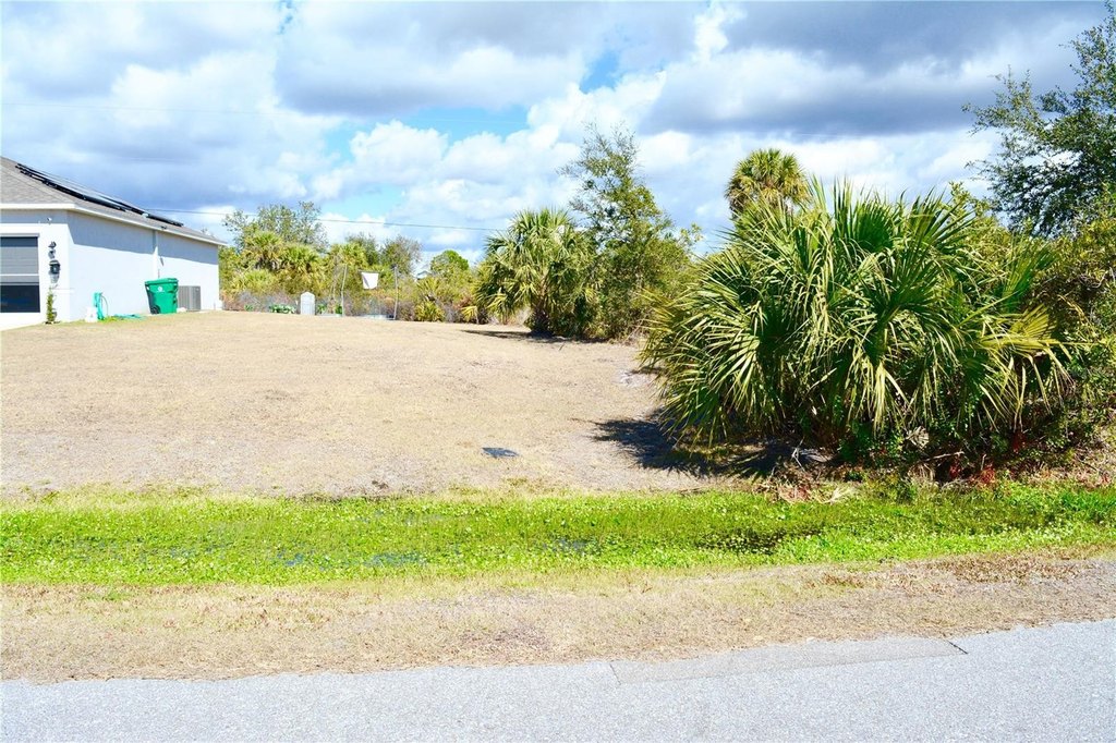 Picture 21