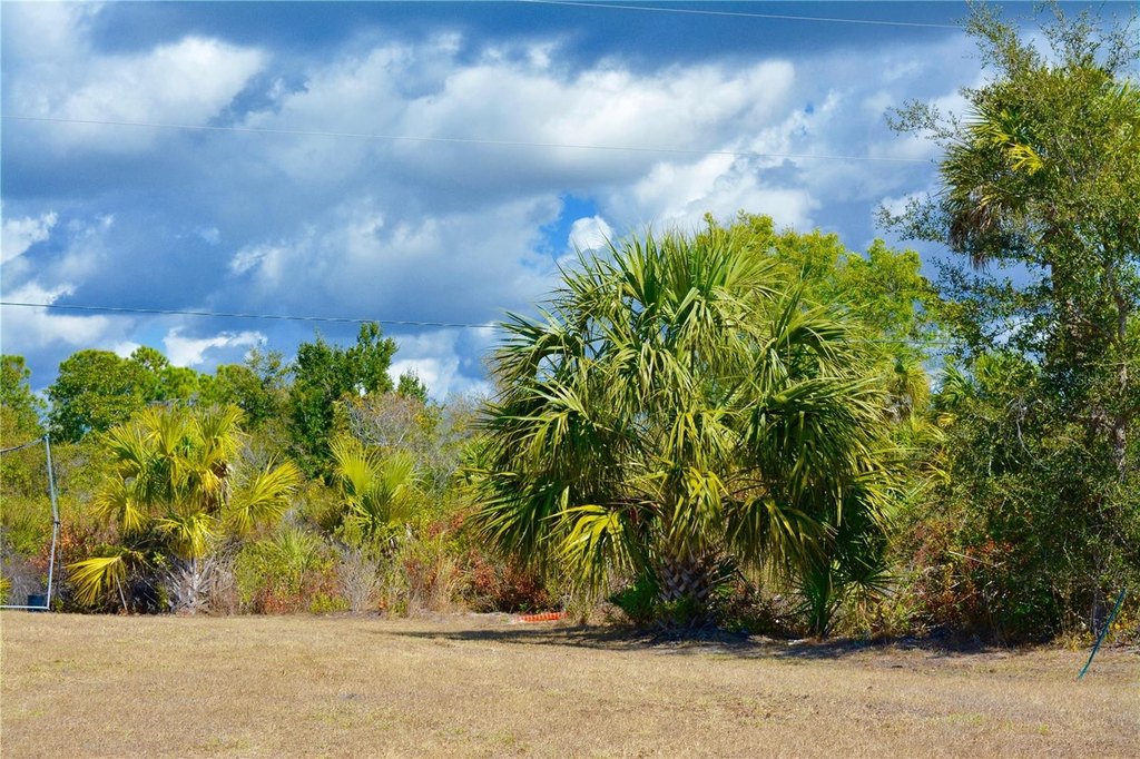 Picture 23