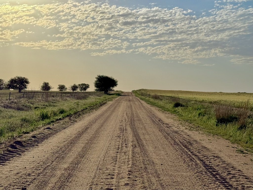 Picture 26