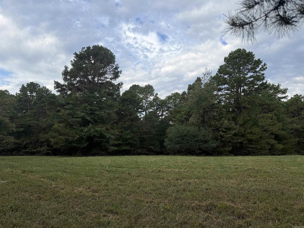Picture 21