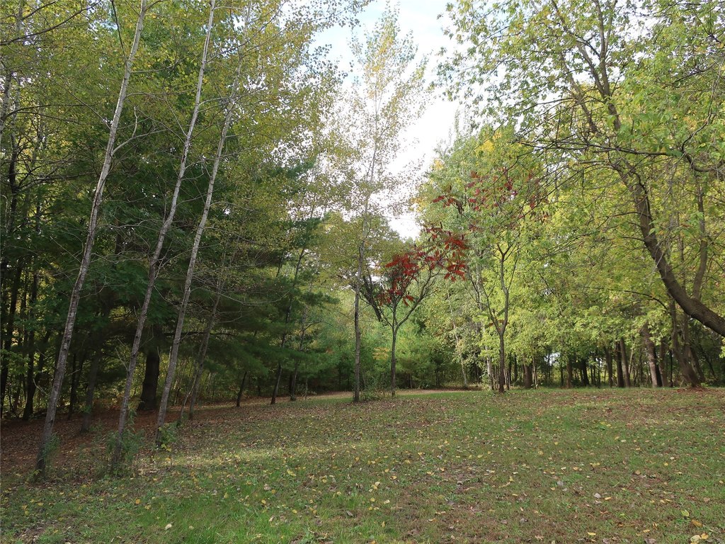 Picture 22