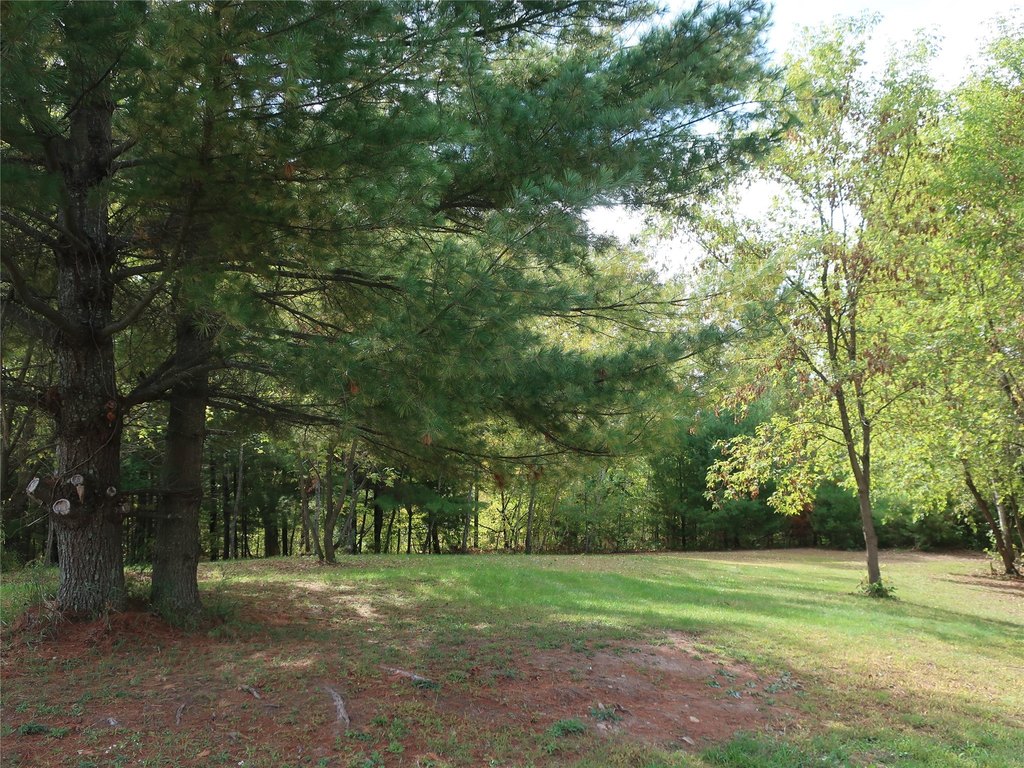 Picture 17