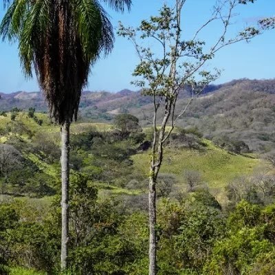 Picture 21