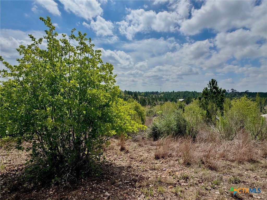 Secluded Land in Smithville, TX