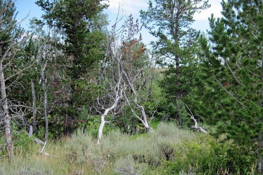 Picture 7