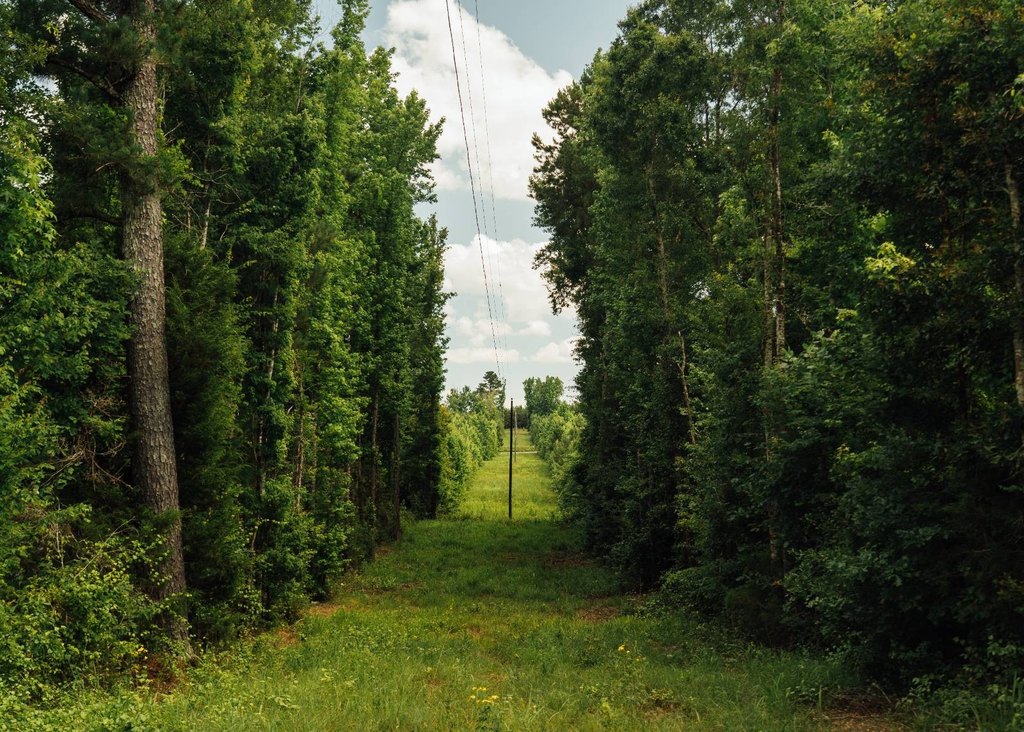 Picture 24