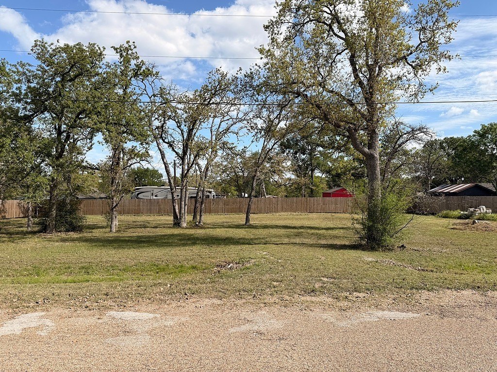 Picture 5