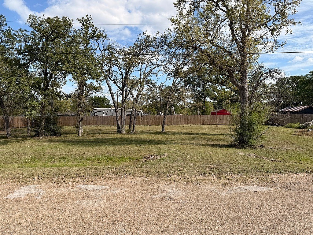 Picture 6