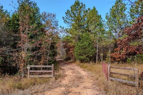 Unrestricted Land in Lyerly, Georgia