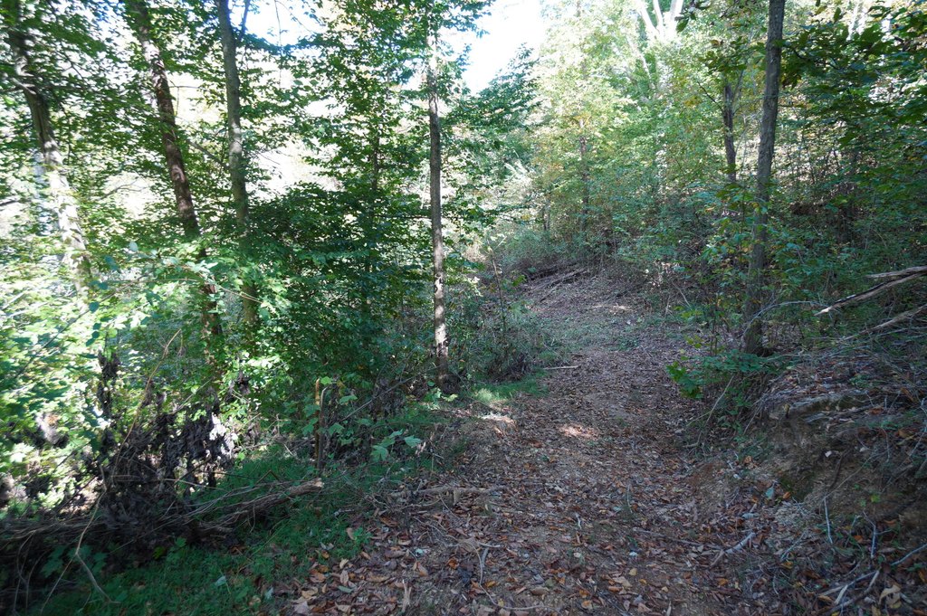Picture 22