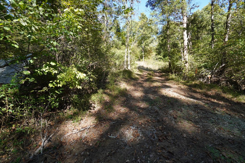 Picture 9
