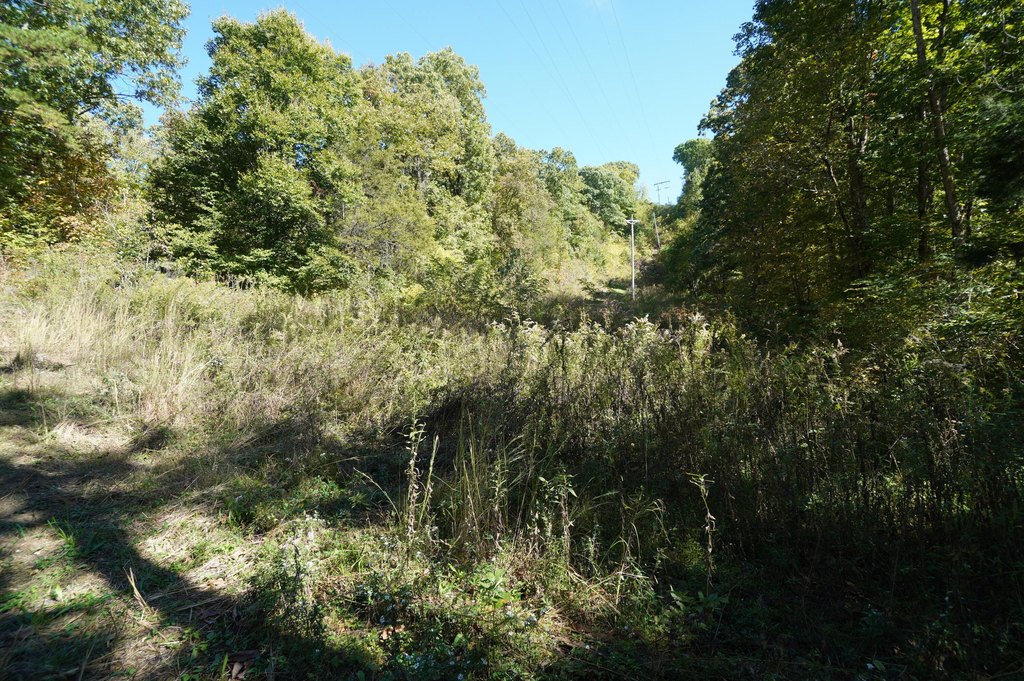 Picture 11