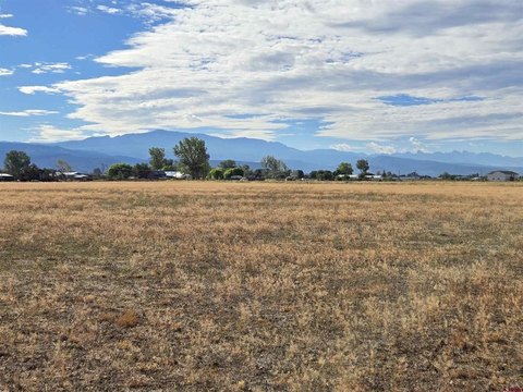 Irrigated Farmland Parcel