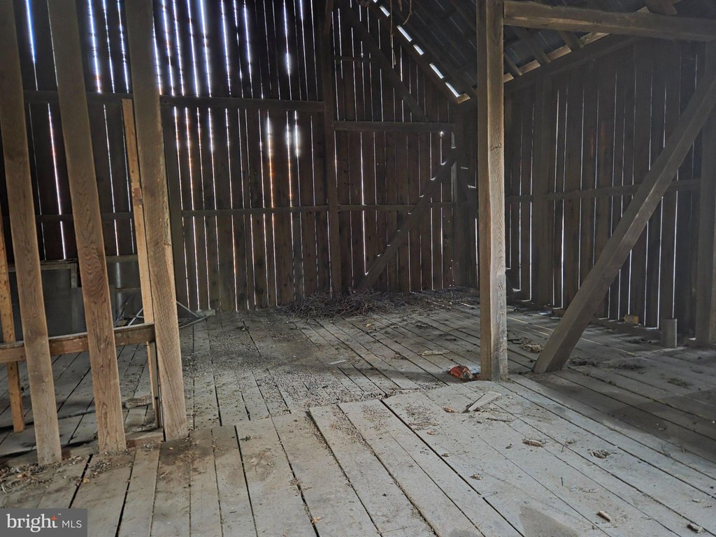 Picture 25
