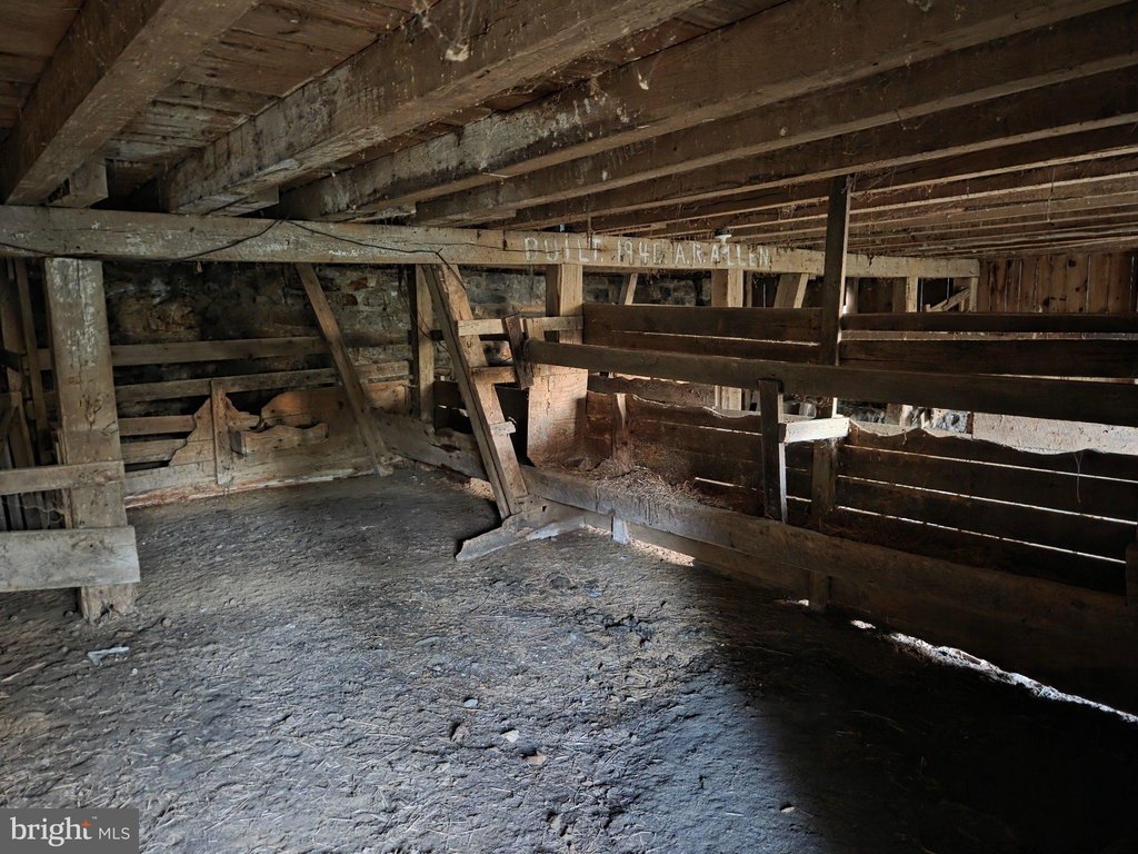 Picture 39