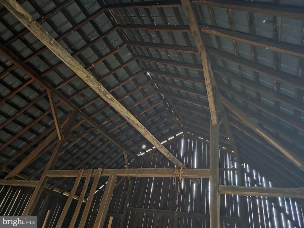 Picture 27