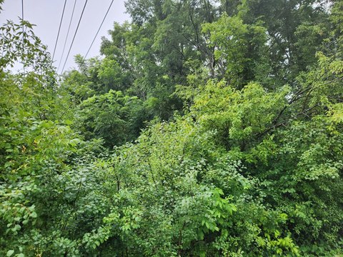 Residential Lot in Winfield, IL