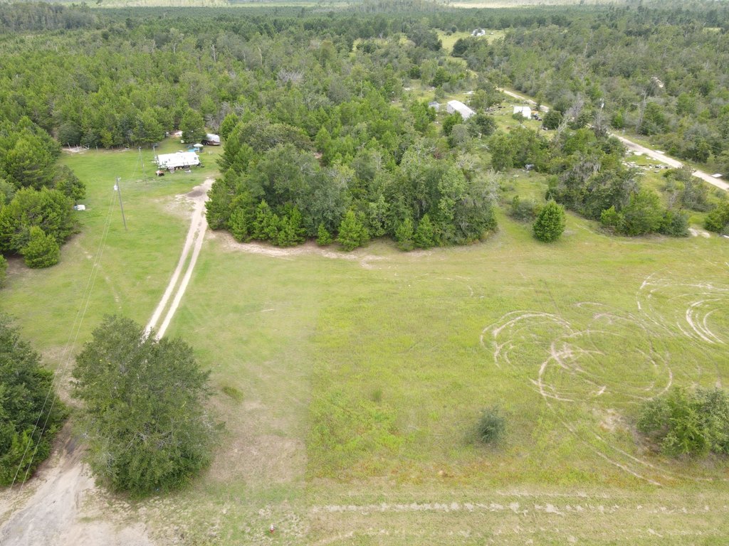 Picture 15