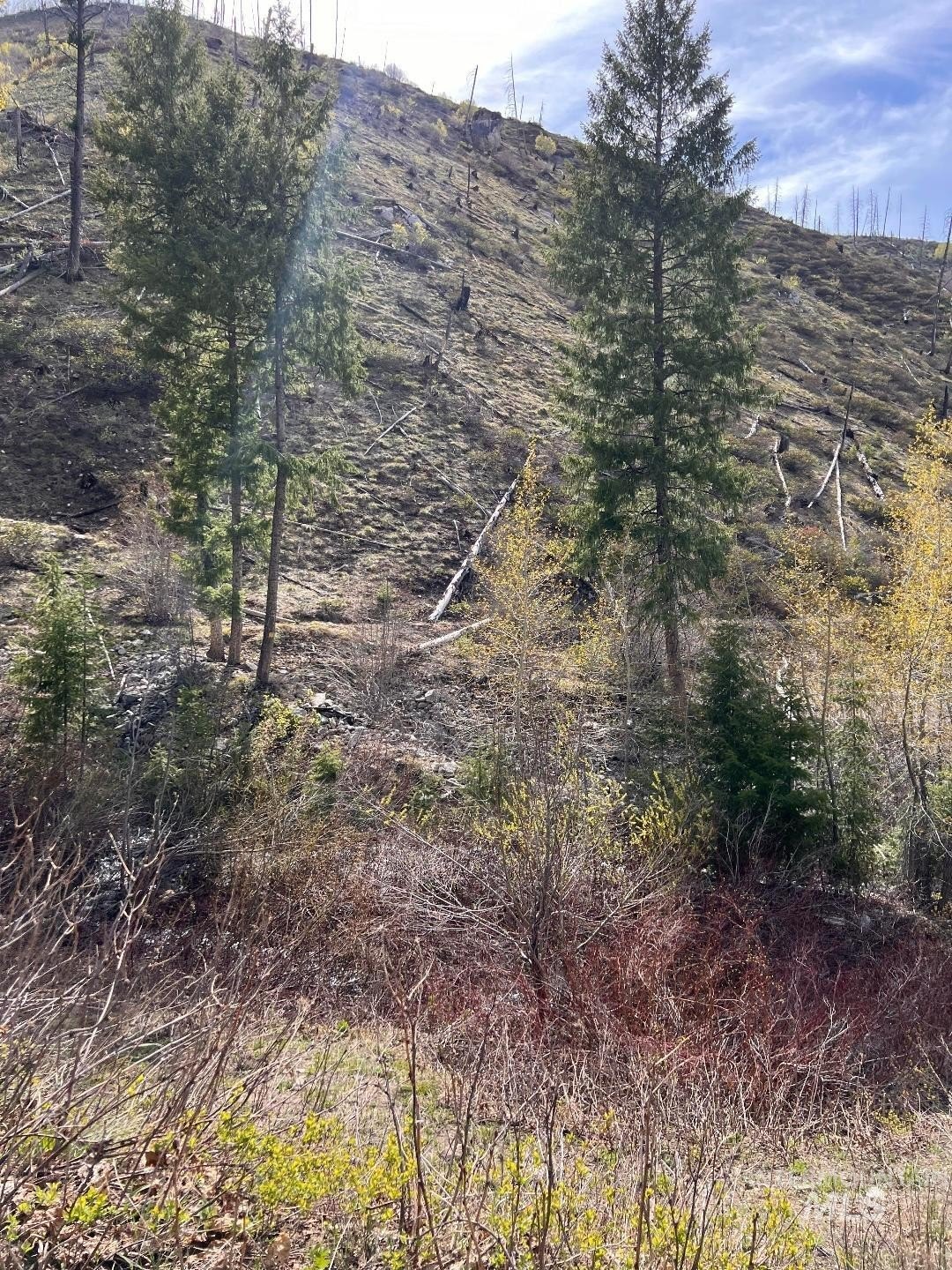 Atlanta, ID Mining Claims Land