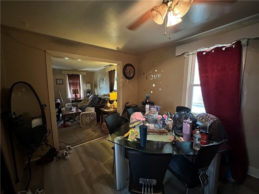 Picture 18