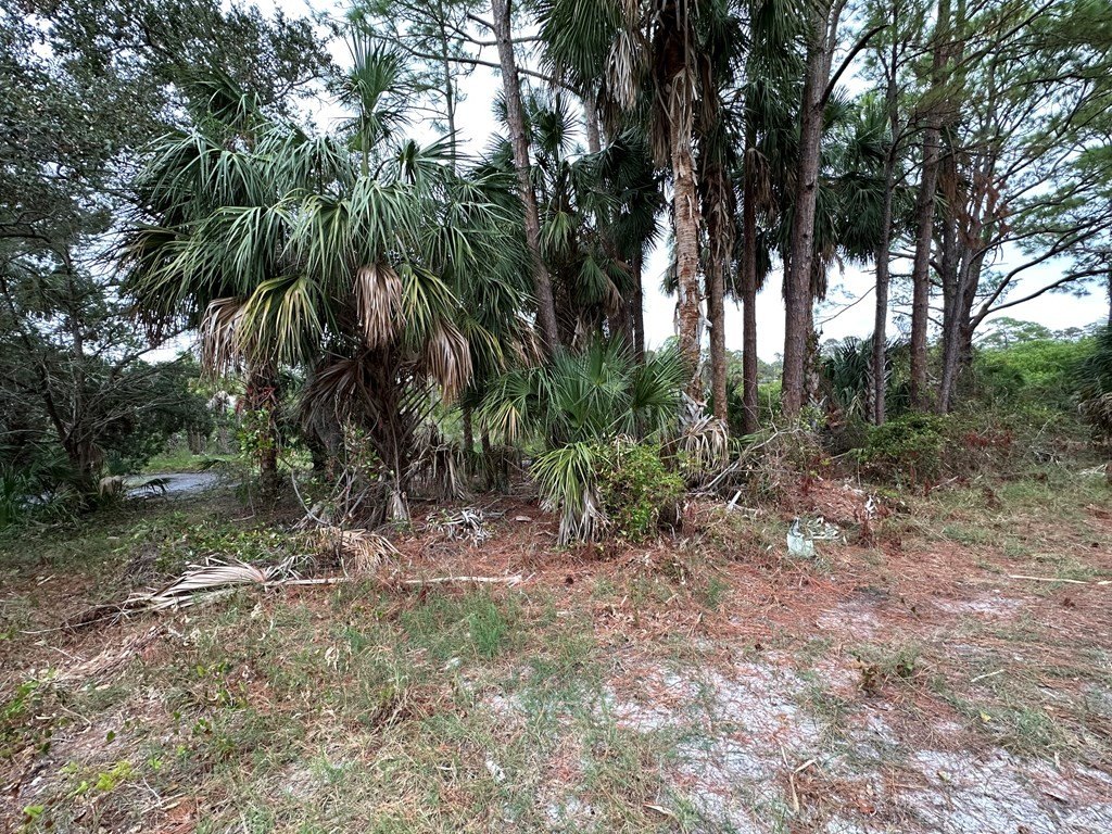 Picture 6