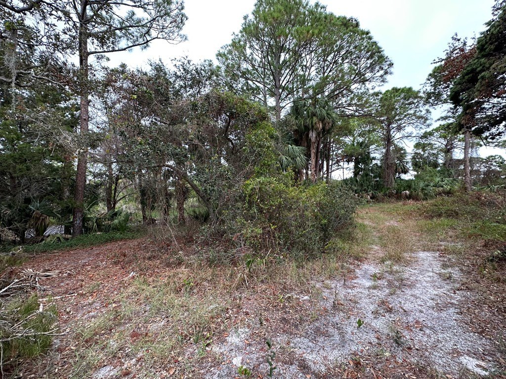 Picture 5