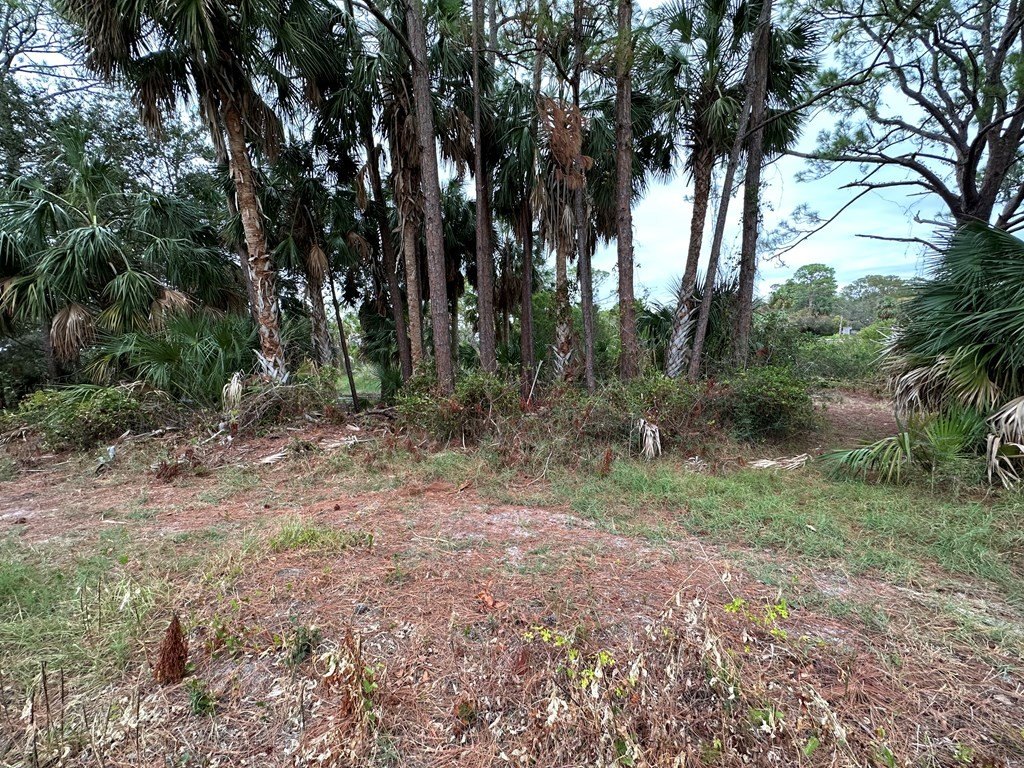 Picture 9