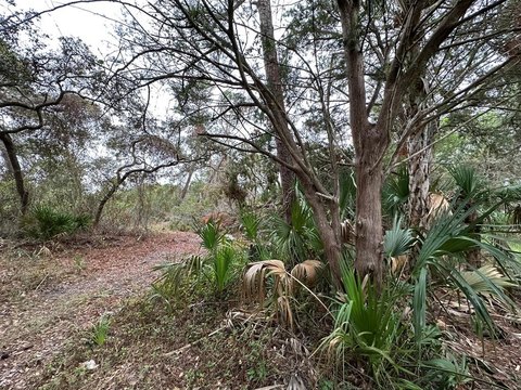 Marsh Front Island Land