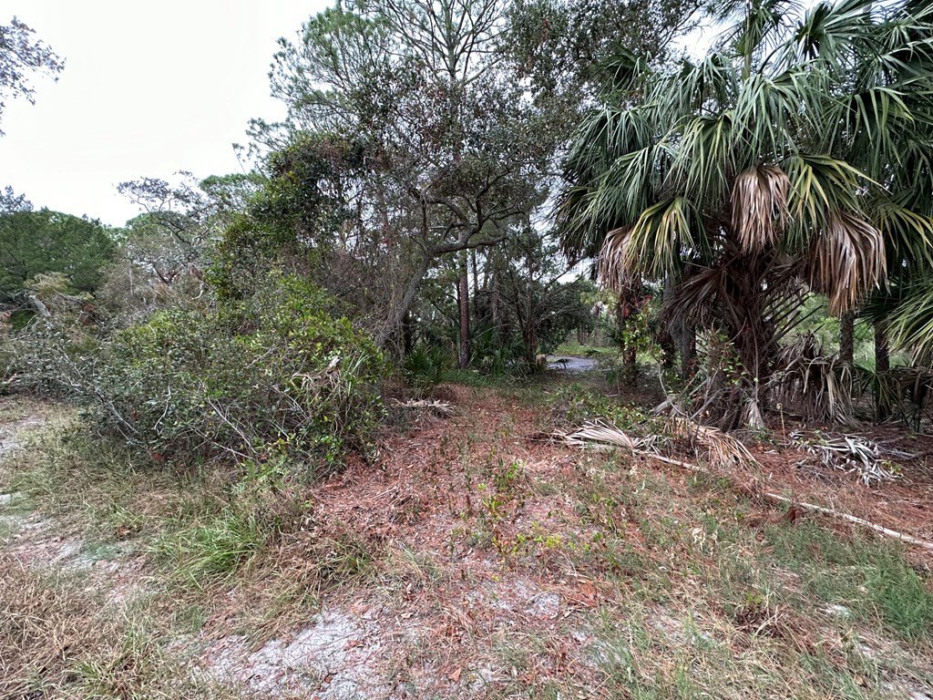 Picture 7