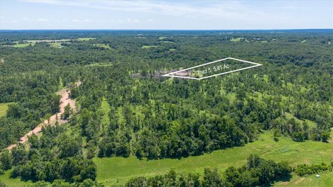 LAND - Goodman, MO