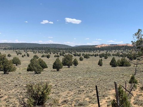 Bryce Canyon Country 40 Acres
