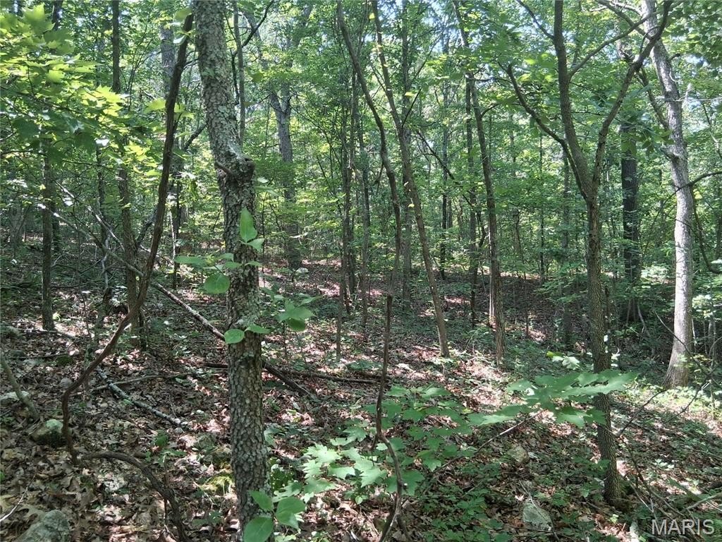 Picture 14