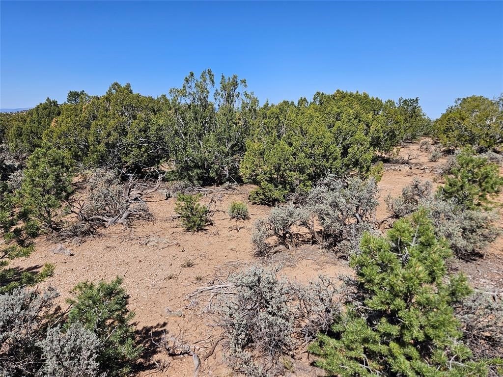 Land in Chimayo, New Mexico
