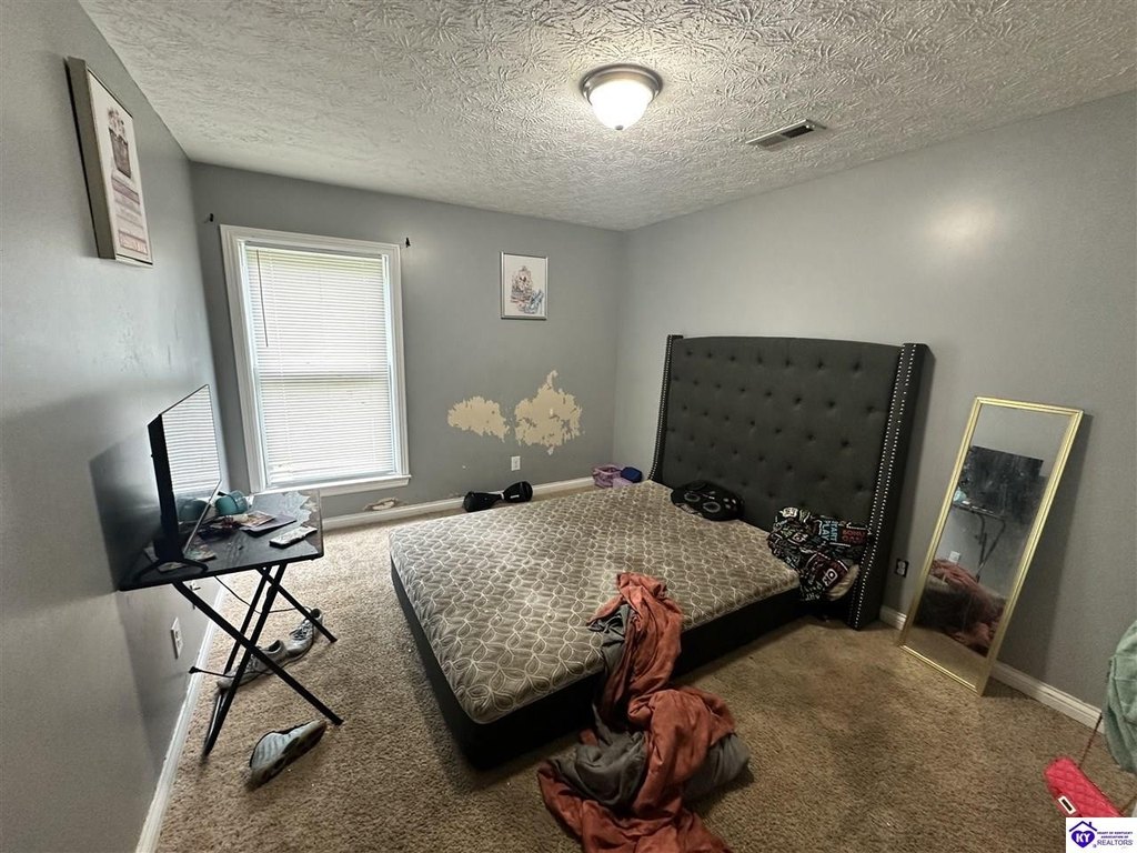 Picture 43