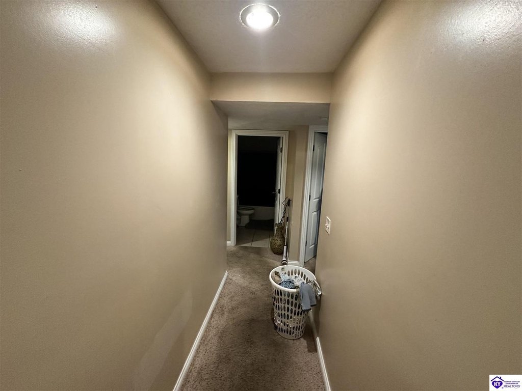 Picture 41