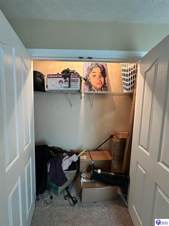Picture 24