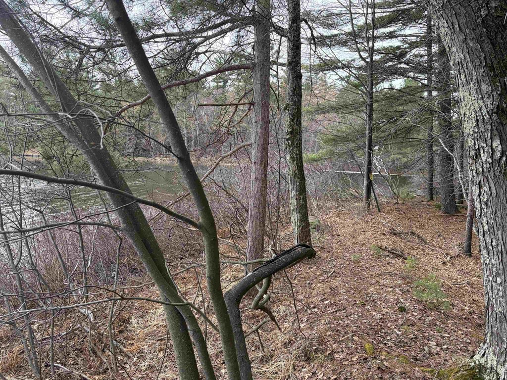 Picture 7