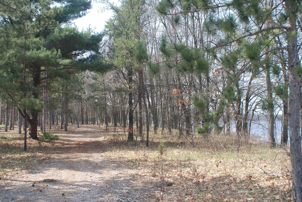 Picture 5