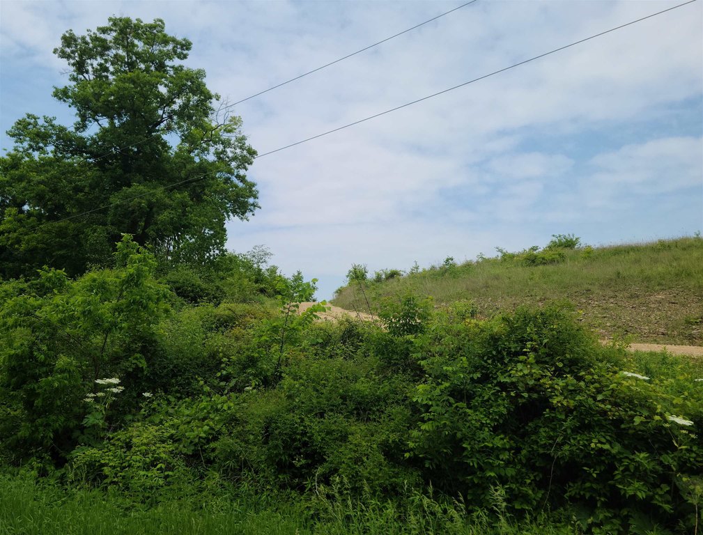 Picture 5