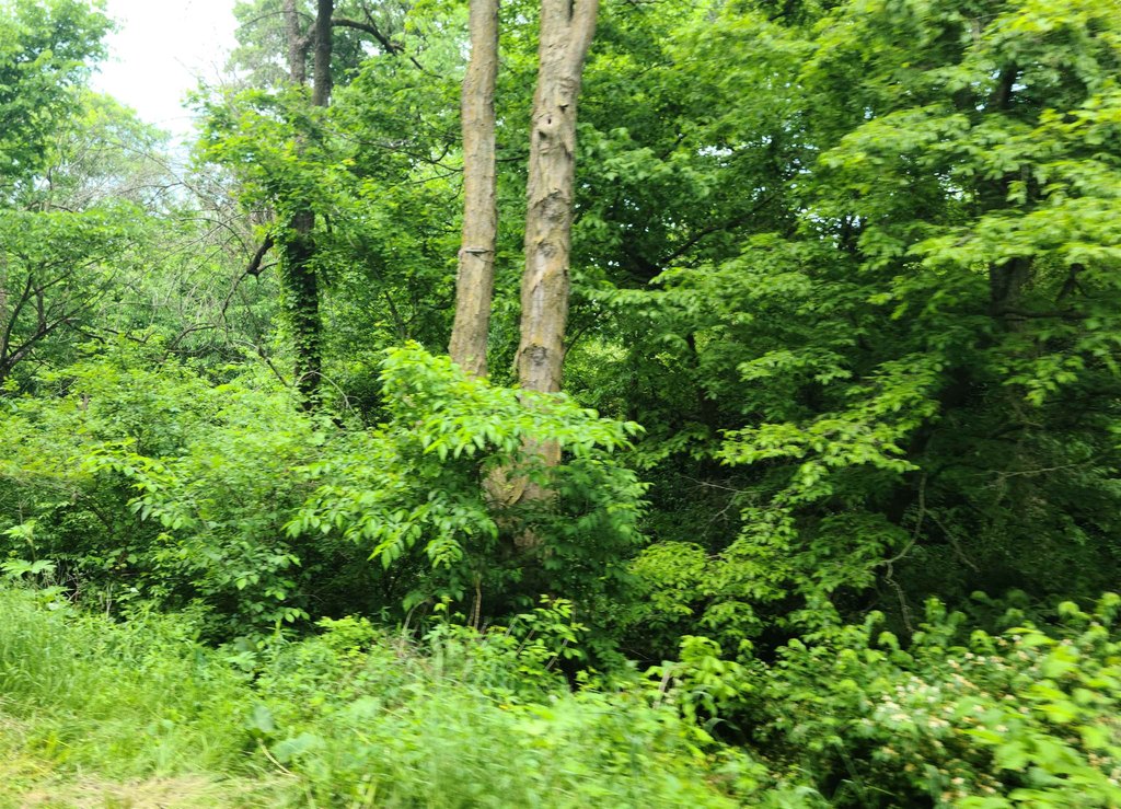 Picture 6